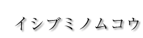�C�V�u�~�m���R�E