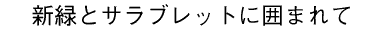 �^�C�g��